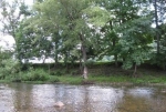  Piles Road , Seebert, West Virginia<br />United States