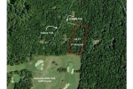  Thunderbird Hills, Oneida Trail, North edge Cacapon St. Park; Lot 71, Berkeley Springs, West Virginia<br />United States