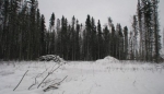 101 Spruce Valley Gate, Fort McMurray, Alberta<br />Canada