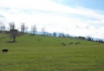  Sugar Hollow Drive , Bristol, Tennessee<br />United States