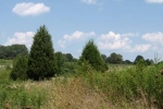  Challenge Drive , Bon Aqua, Tennessee<br />United States