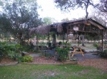 11635 Timberridge Rd, Tampa, Florida<br />United States
