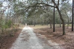  7298 SW 153rd Ln, Dunnellon, Florida<br />United States